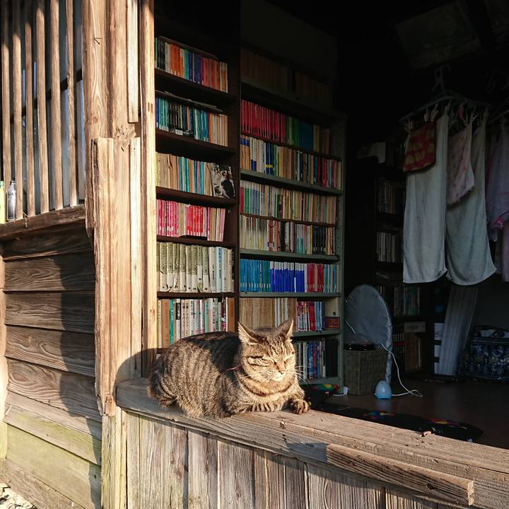 Bf3b38e4 1217 4b46 b169 2ff6aff46639 1662931365125