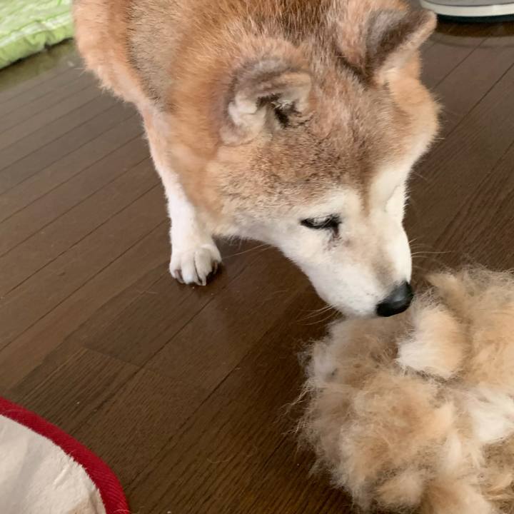 Bf3b3e78 7e61 4807 97f5 8c947eea71d3 1656810248081