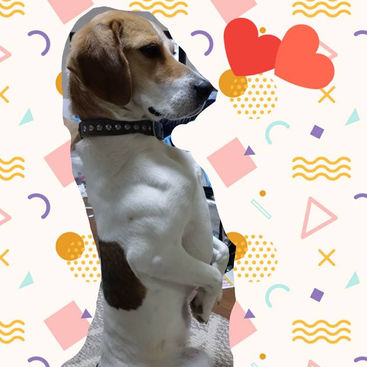 Bf3b5188 9237 4dcd ac27 f2723813dcc4 1615202153697