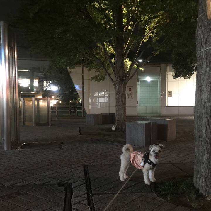 Bf3b6ab6 16c3 4a53 836e caa8e4dfe5b5 1535194212869