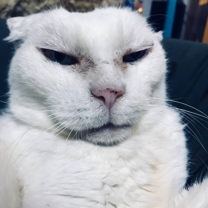 Bf3b6b48 f28a 48e9 a0de 2af6b471e9ff 1528720996564