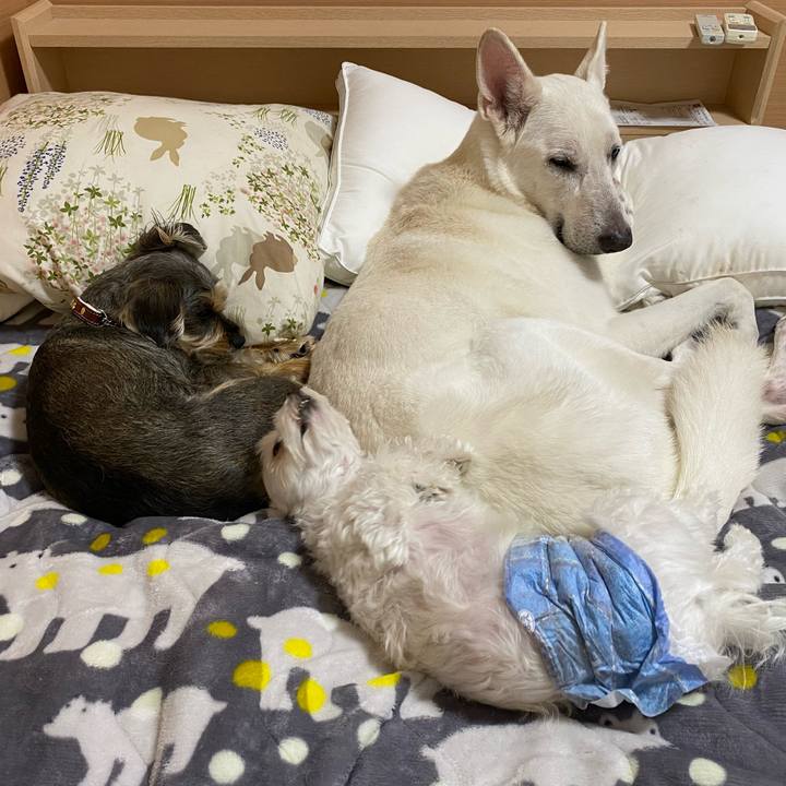 Bf3b790a 183a 4704 ac43 3ec539893256 1582521160360