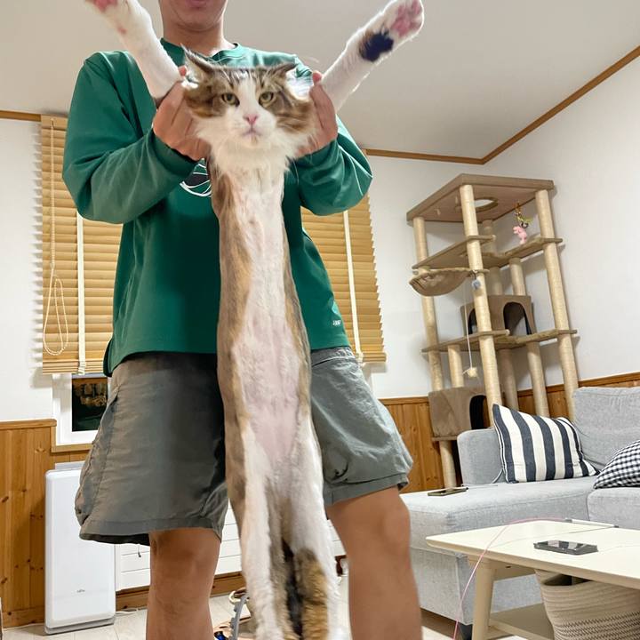 Bf3bd9f5 af25 4de5 8b02 a9d3a37e4b2d 1658747423594