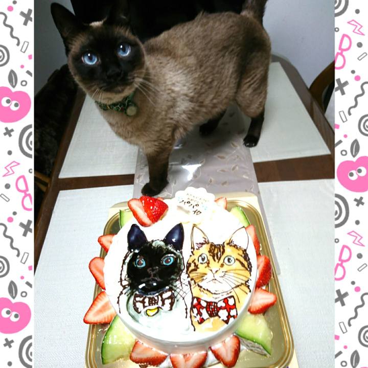 Bf3c104a 1c55 4aef 8e7c cec3128b32b9 1522488401647