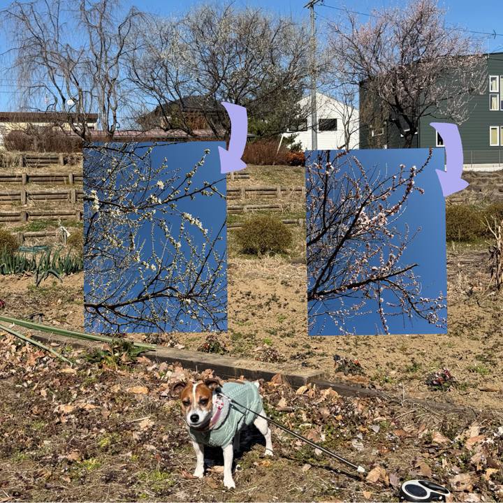 Bf3c1767 a2c9 4f61 a6e3 9effe98d4e56 1773733907933