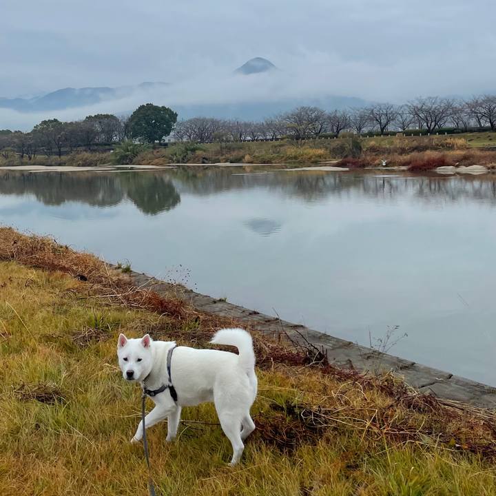 Bf3c37c5 da6c 4919 a6d5 755c09491d2b 1608809852939