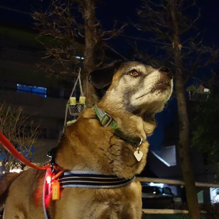 Bf3c45a3 f092 47f6 bc2b c0fabf69ad21 1518866369366