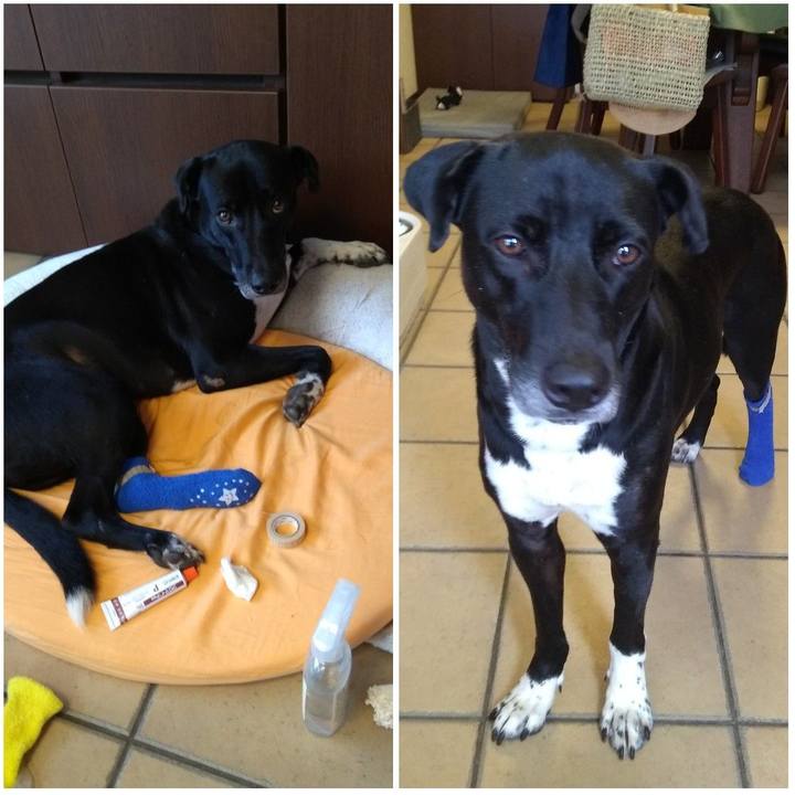 Bf3c6b2e 3eb0 45b3 b735 5b861283a98d 1623716175286