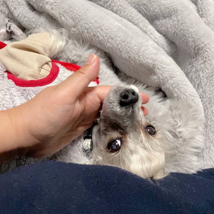 Bf3c979b 8b59 4622 a340 f00bbc864e2f 1763895512170