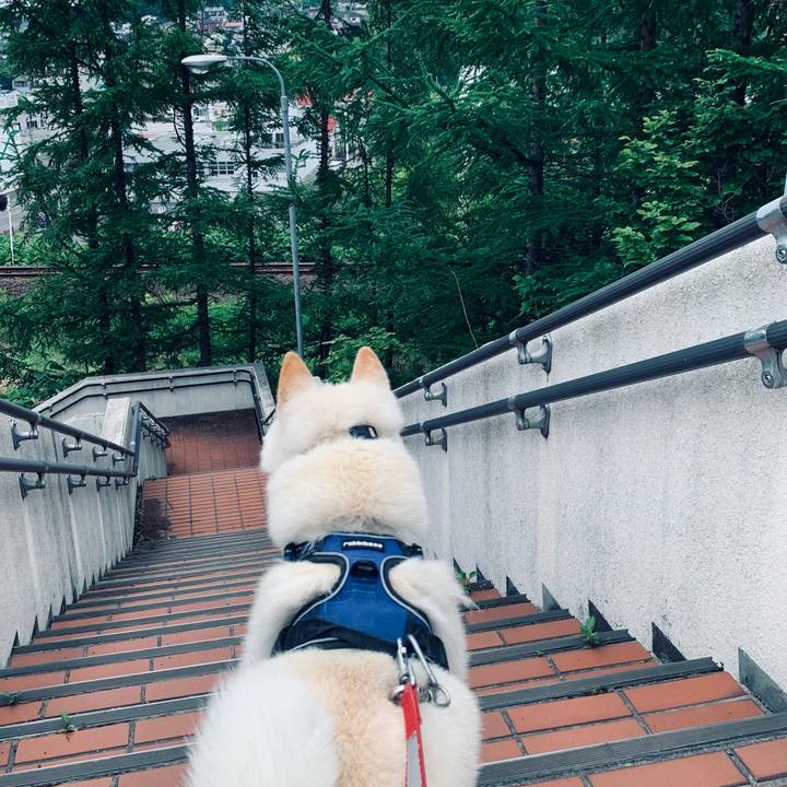 Bf3cae8f 8443 4042 a9bb 835c07052bfb 1623189327822