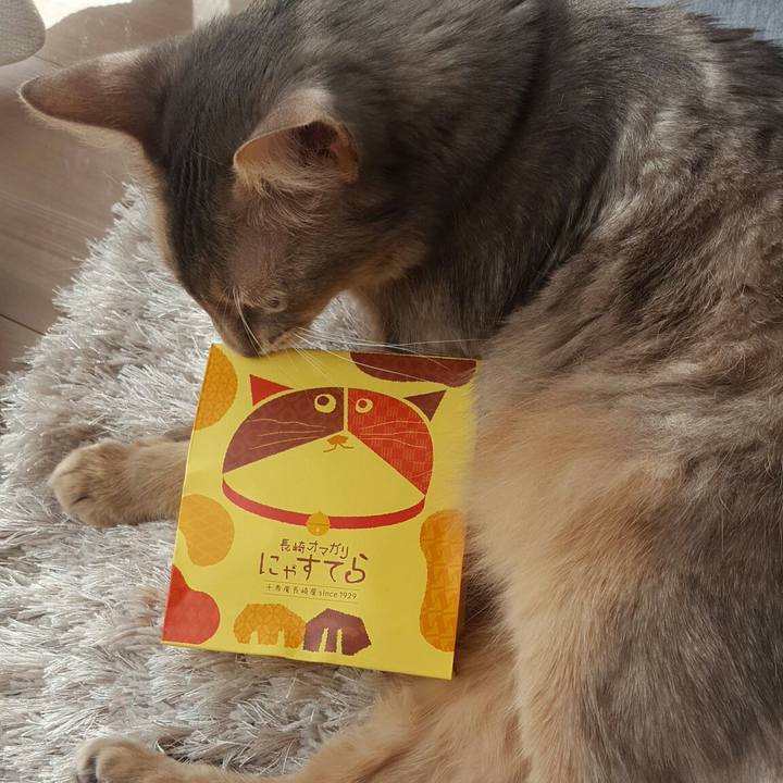 Bf3cbbe9 4147 471b 9a75 80668b65a513 1553152414130