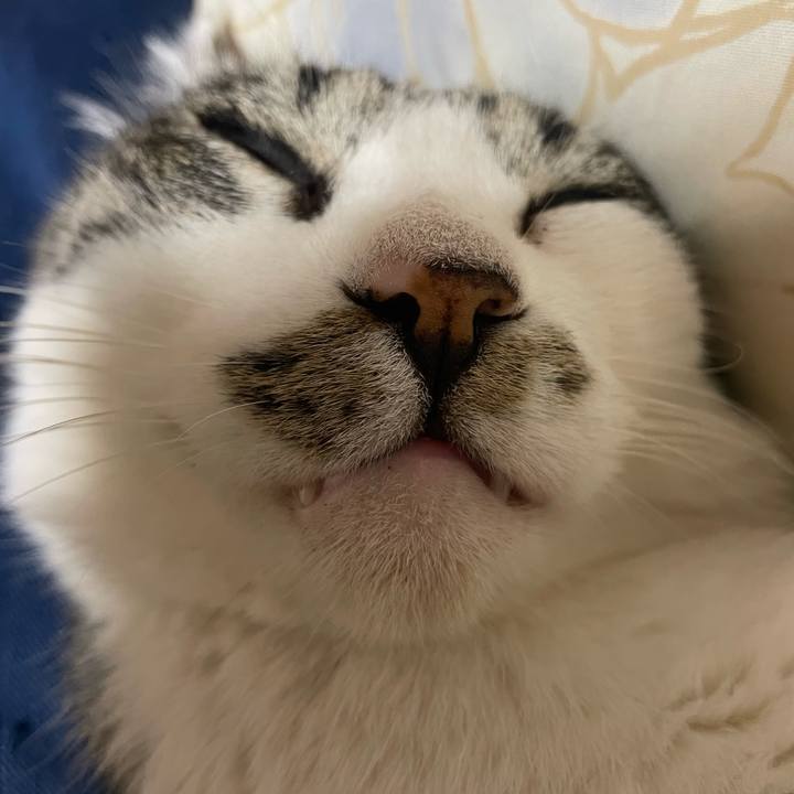 Bf3cbc02 a934 420a bbc1 8f393fbbf8e5 1700469605934