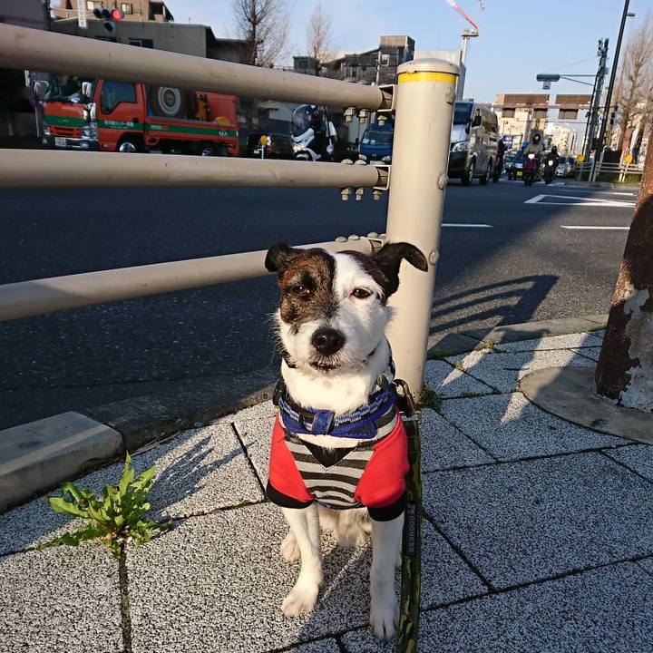 Bf3cca3e 2168 4066 bba2 ab1cfefb654c 1522015329041