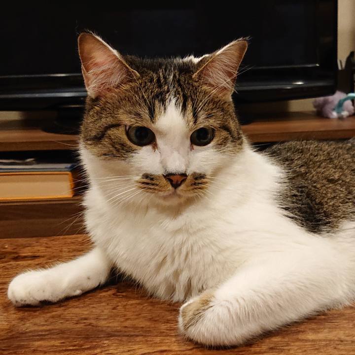 Bf3ccaaa 7556 48c5 8a66 c394aa95c736 1662032382126