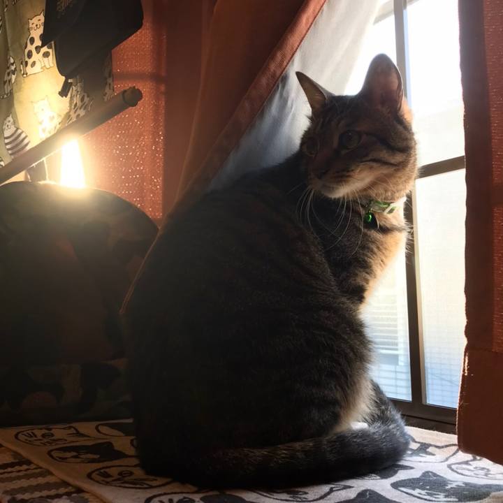 Bf3ced1f 5e47 430a a16c 9034e01f0922 1626996863973