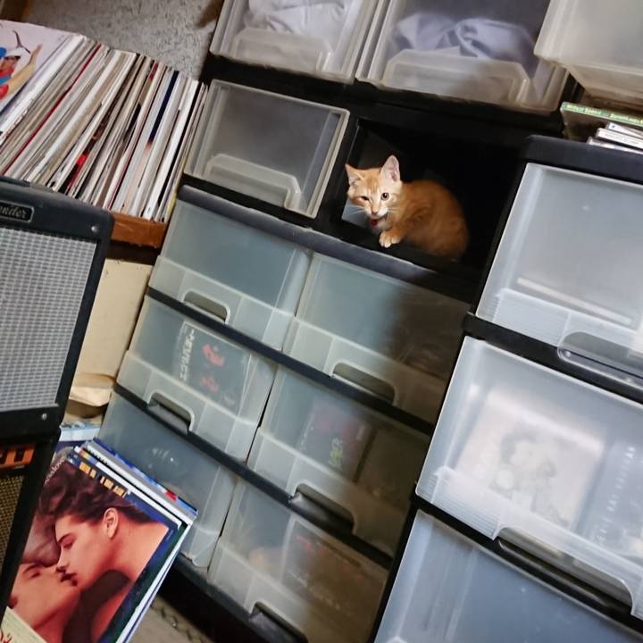 Bf3d0e32 8bc7 4d1c 81ea f4d7b40aec2d 1631532869250