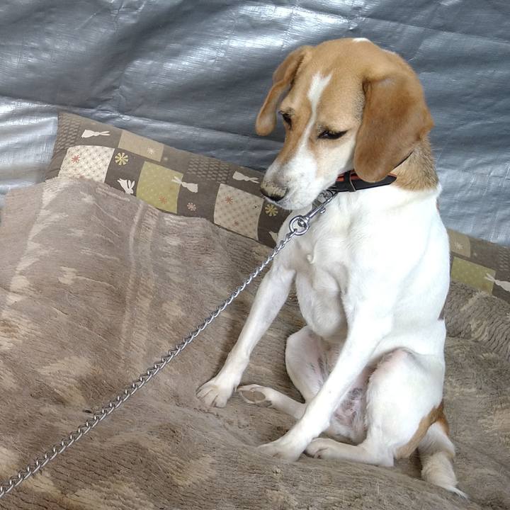 Bf3d2b55 bd10 48db 8adc 2da6228ae7f8 1628255818633