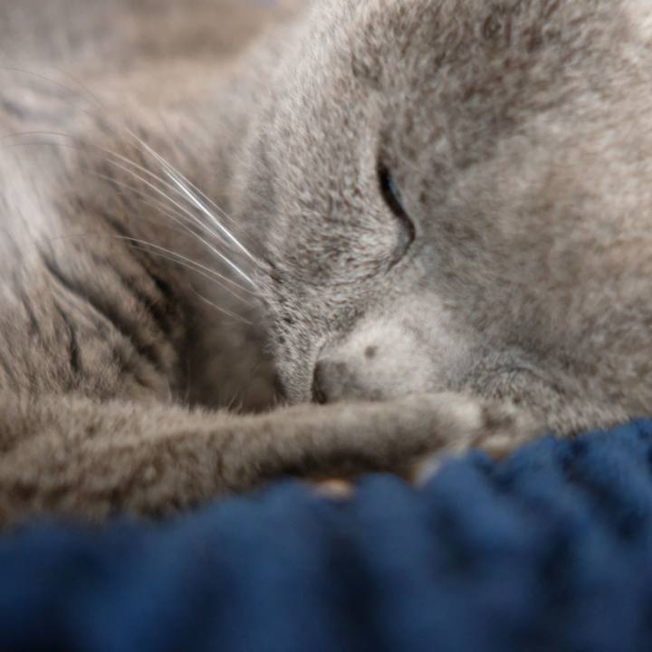 Bf3d5073 366d 4ee8 8645 89dac92c5d35 1684028573042