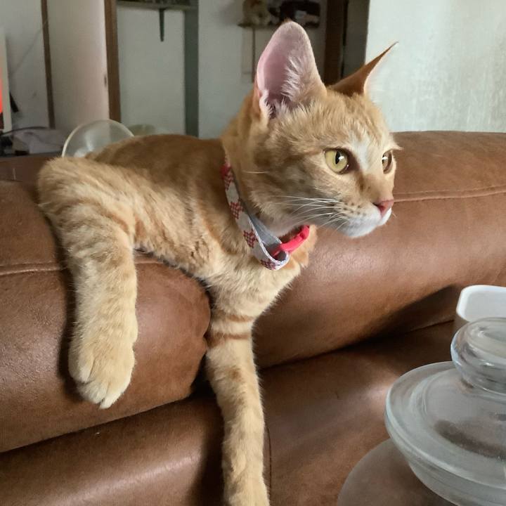 Bf3db8fb 15b6 4964 8c77 51b965bfe60f 1758453234557