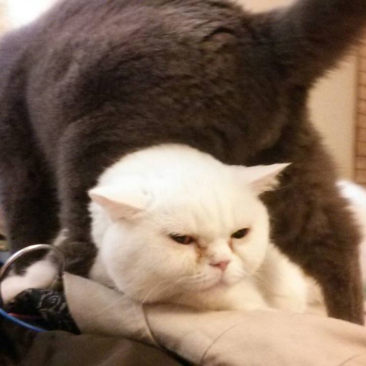 Bf3dca00 6b44 4541 b74f ed5a53382ee5 1549768869616