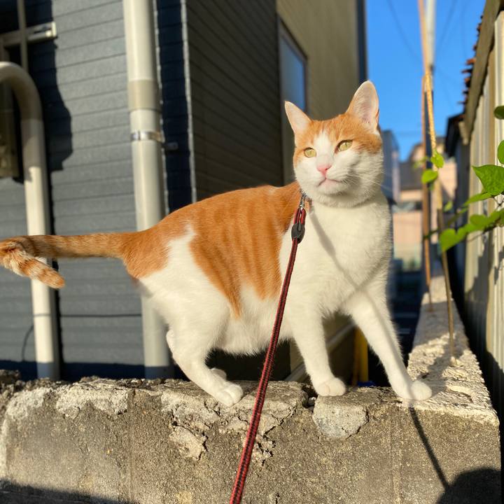 Bf3e1cbd aadb 48ad 86e5 3d71be7d2d8e 1592646155075