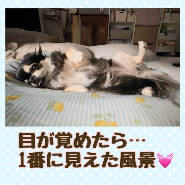 Bf3e496f 817b 45b1 bb8b 571584f307a5 1747879756009