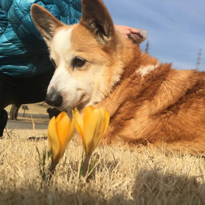 Bf3e52c3 ed08 4757 97d9 e52b694efd52 1540715716423