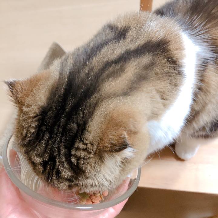 Bf3e5d8e 677c 458a b8c7 03c00a70609f 1558266183497