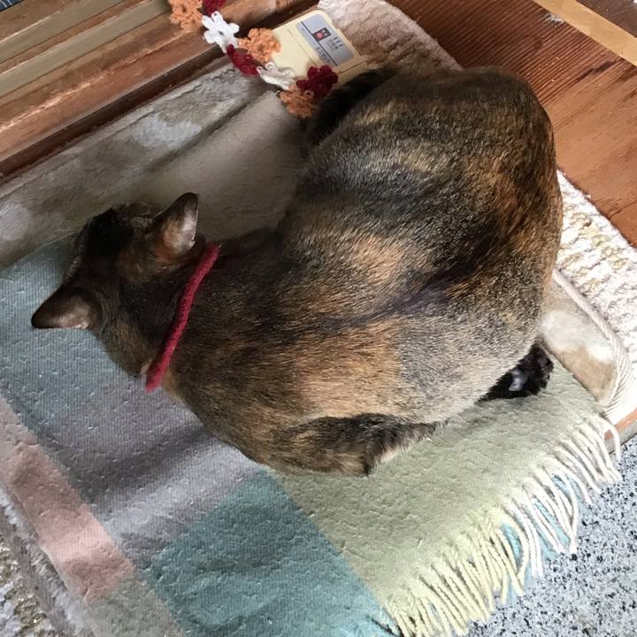 Bf3e80cd 5272 4e51 ac2b 2287cf740f48 1611641736243