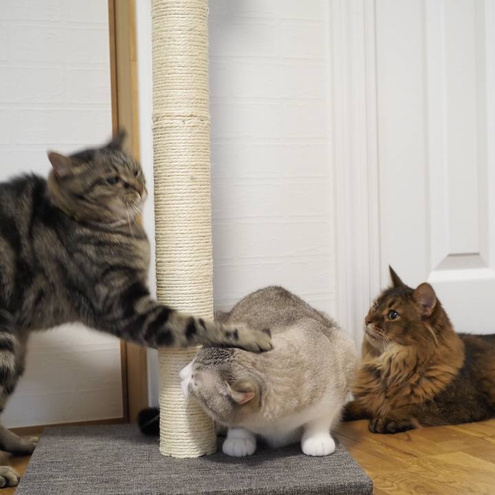 Bf3e8121 b3b0 4f43 b731 303dd798535d 1720583415423