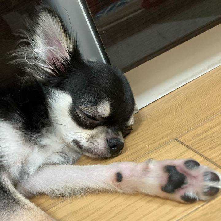 Bf3e85f9 9ff8 419e ac52 0ee58ecabc01 1600524828400