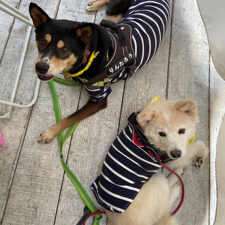 Bf3eab6a f674 473d 93cc 80d279f12f20 1700021576471