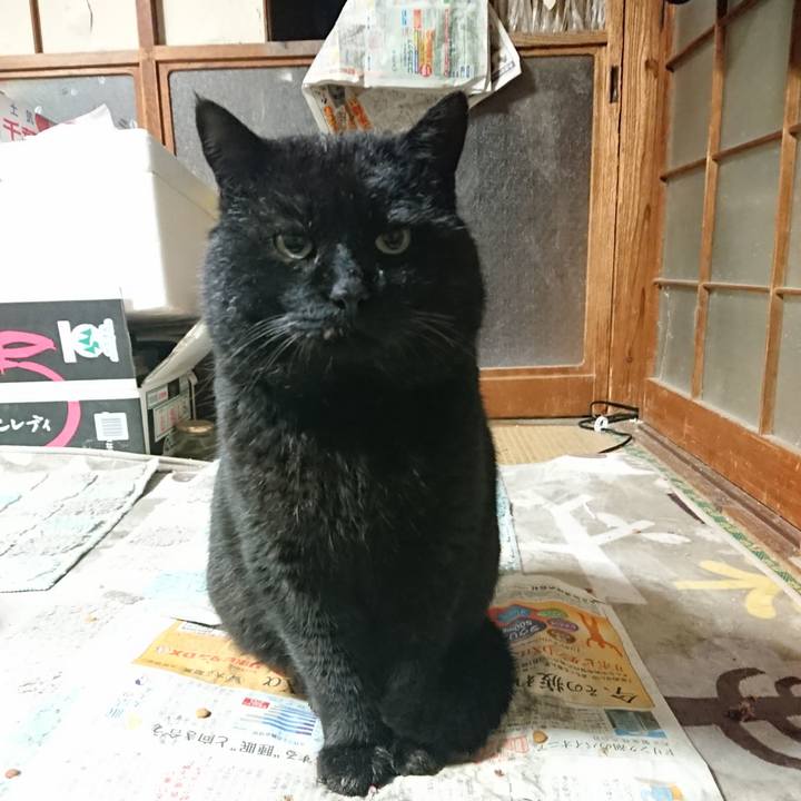 Bf3ee0a2 cdf2 4f99 99d8 cfc17edf447c 1648122195448