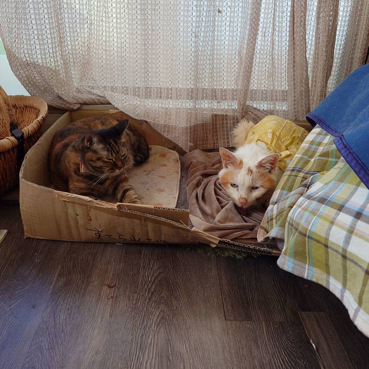 Bf3f1d8b d5ab 4426 a689 edc9d9d9bac2 1764803037499