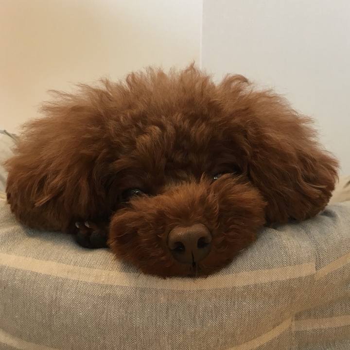 Bf3f2bae a63c 4b77 b793 837f26adc861 1526268662982