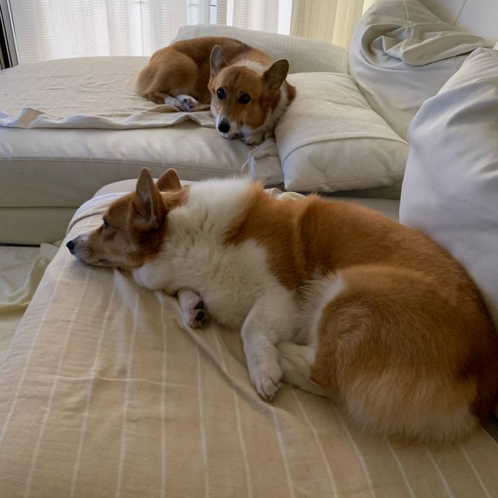 Bf3f4514 623c 4e6c ba67 daf07c4f4552 1601418595539