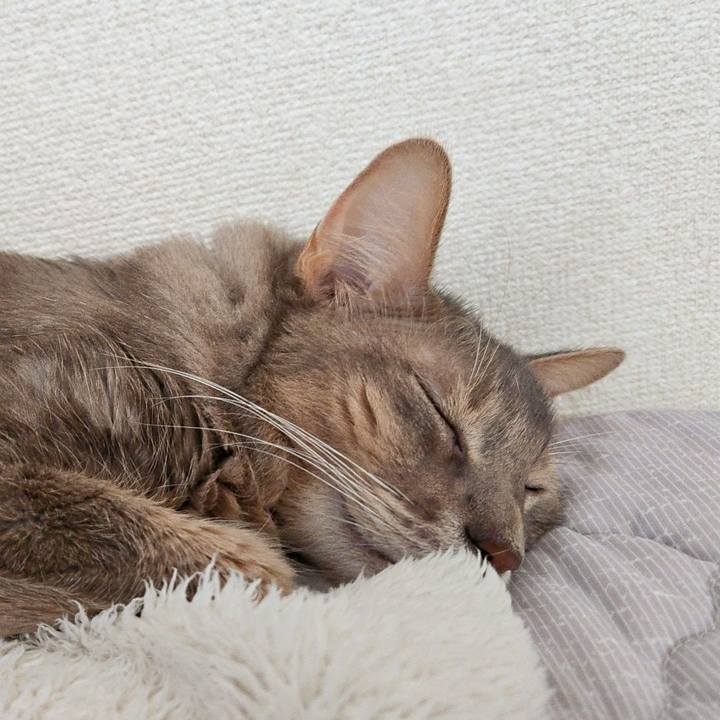 Bf3f4843 01b4 4230 8286 fa273ed2f40e 1730290473876