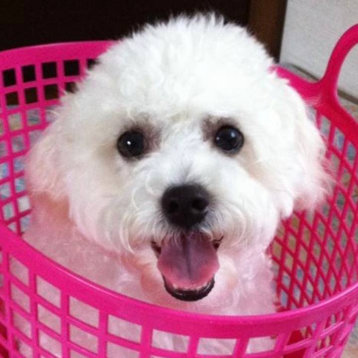 Bf3f799f 1918 4ad1 824f 541611a2e793 1662673194684