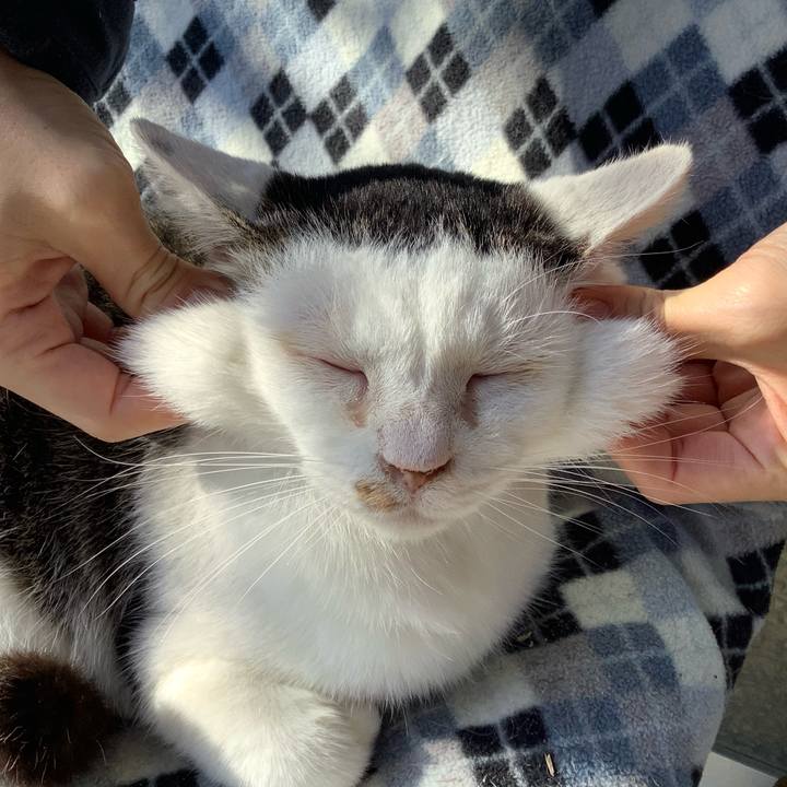 Bf3f8acb bc83 4690 ba57 bdc354d4985f 1575173629371