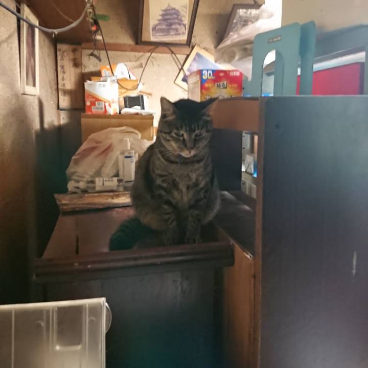 Bf3fb9ca 10dc 46bf bf1c e151bd46794c 1660426473899