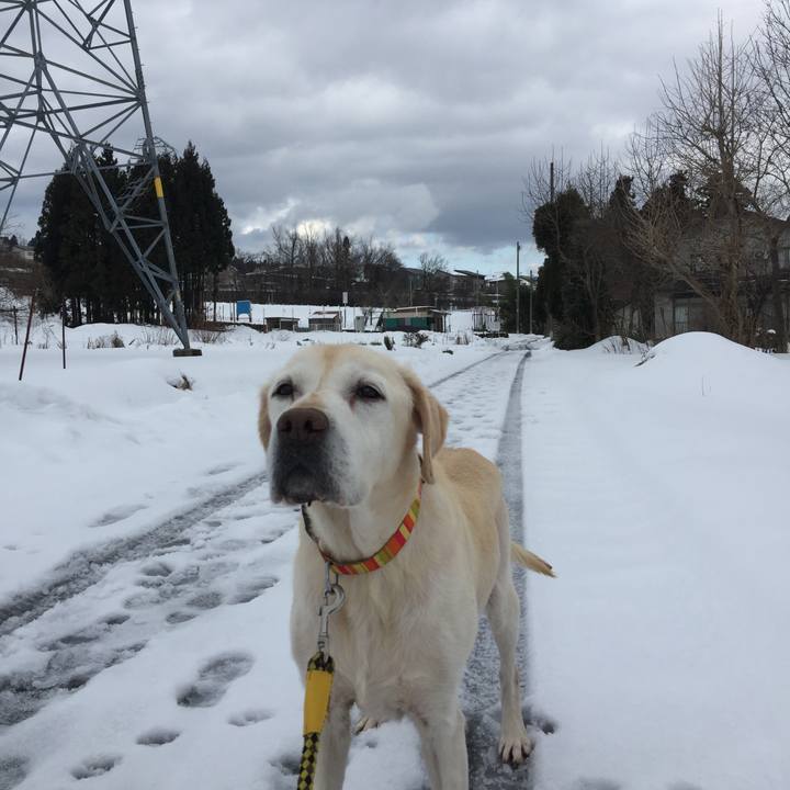 Bf3fbb30 13a0 4298 b633 72ce1d597f6e 1515292349005