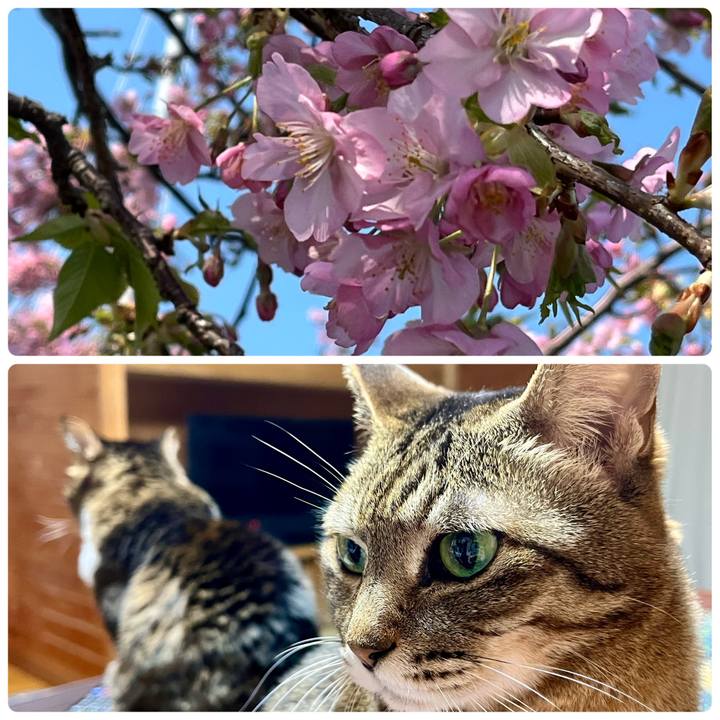 Bf3fca7b 42f4 4c4b 9646 61faf2fc0289 1741524023954