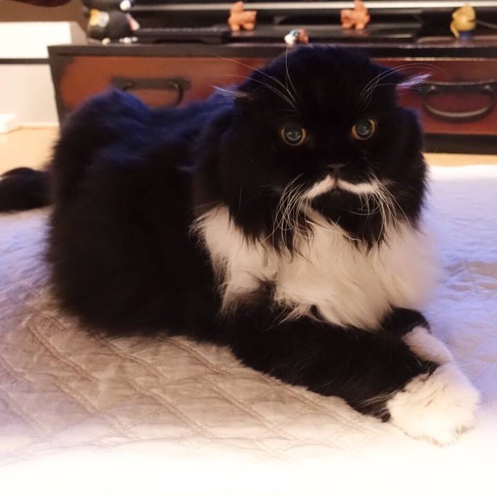 Bf4005a4 b2e6 42e2 8598 4379339a2c6b 1519308388644