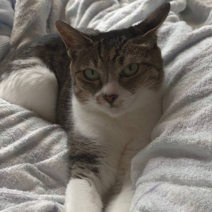 Bf4018c5 0589 4dec 8ae8 0c7194b180f5 1561251579075