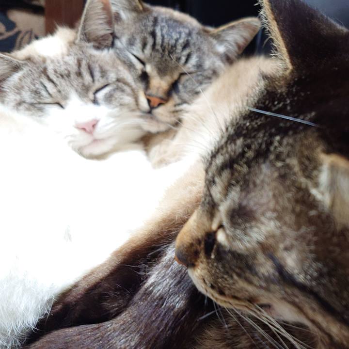 Bf402611 0f72 4837 b9bd 88997e13e6ff 1743771749282