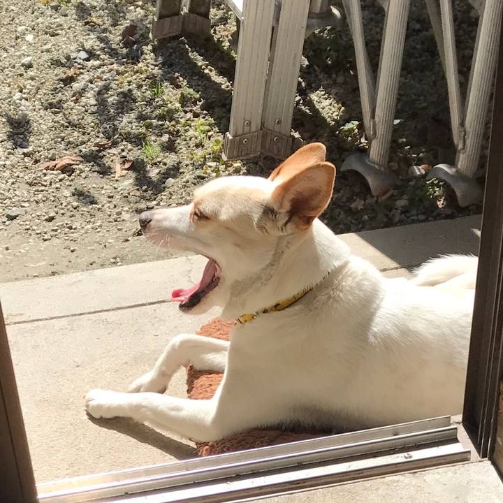 Bf402621 6d42 4243 ad03 7ce8cfb3132e 1518922601943