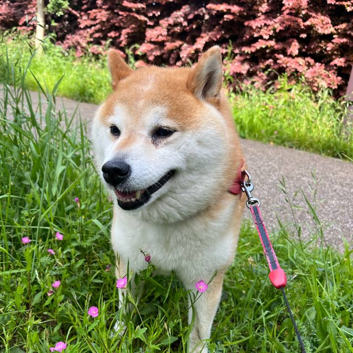 Bf403d90 c2c2 4d2d 840d 0725a181615d 1683538357956