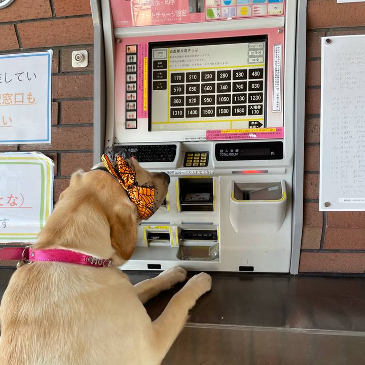 Bf40490d f542 4b1c 8d4a 31a6f1ef4824 1633416688069