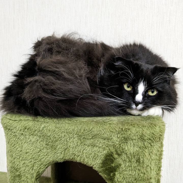 Bf408762 bdaf 42eb 9990 44c5199d50fd 1705155319871