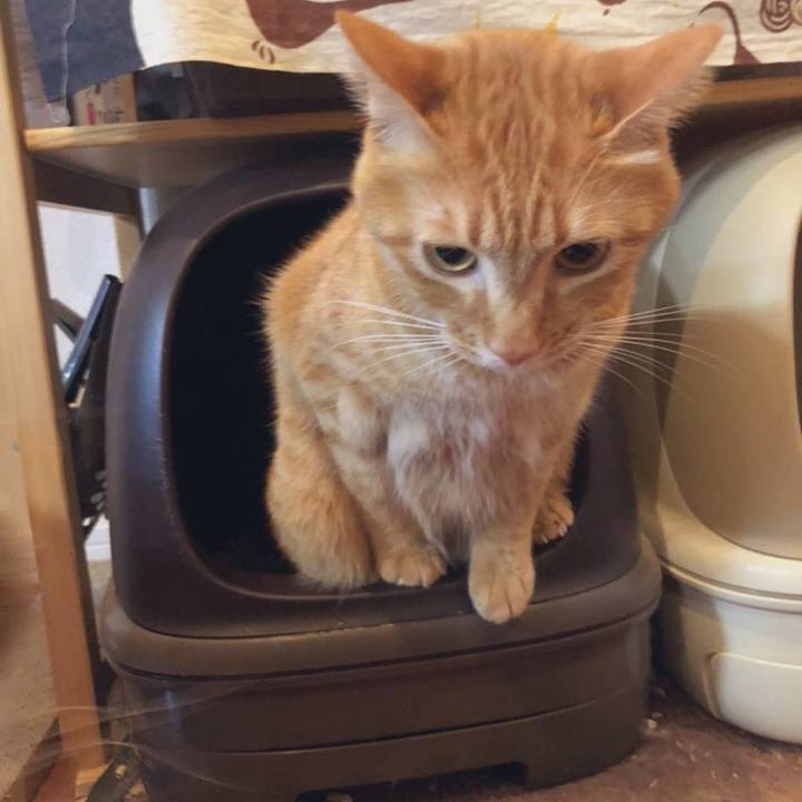 Bf40add9 7649 4a3a 8fa6 a9ed87d01fa6 1618997369565